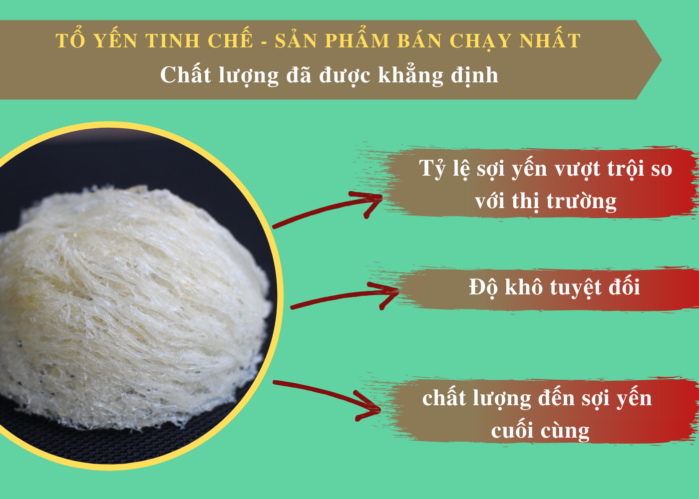 tổ yến tinh chế 