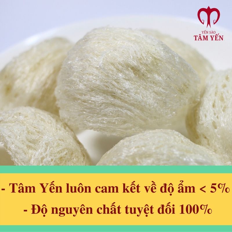 tổ yến tinh chế 01