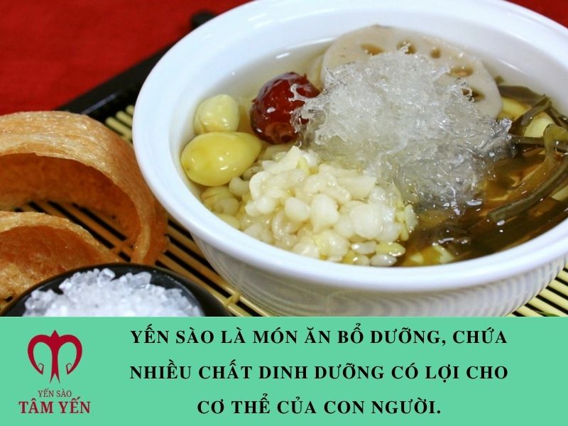 Cách chế biến yến sào thơm ngon bổ dưỡng 03