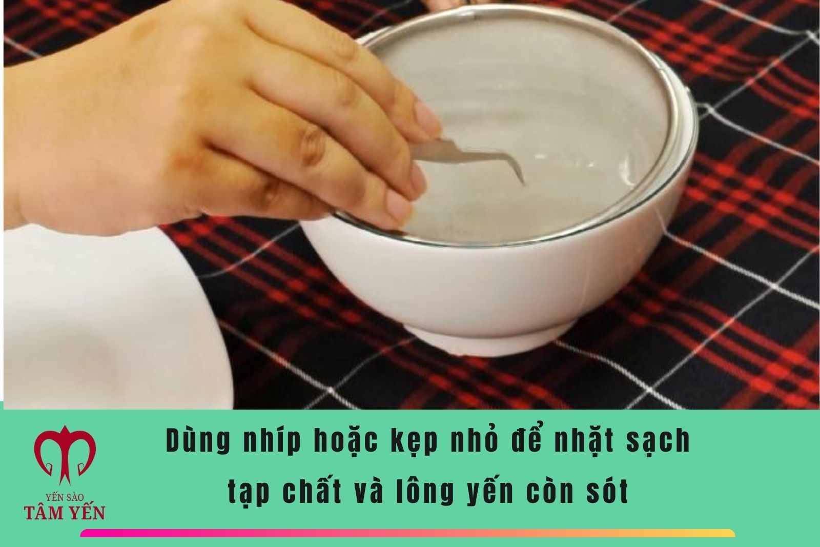 cách làm tổ yến 02