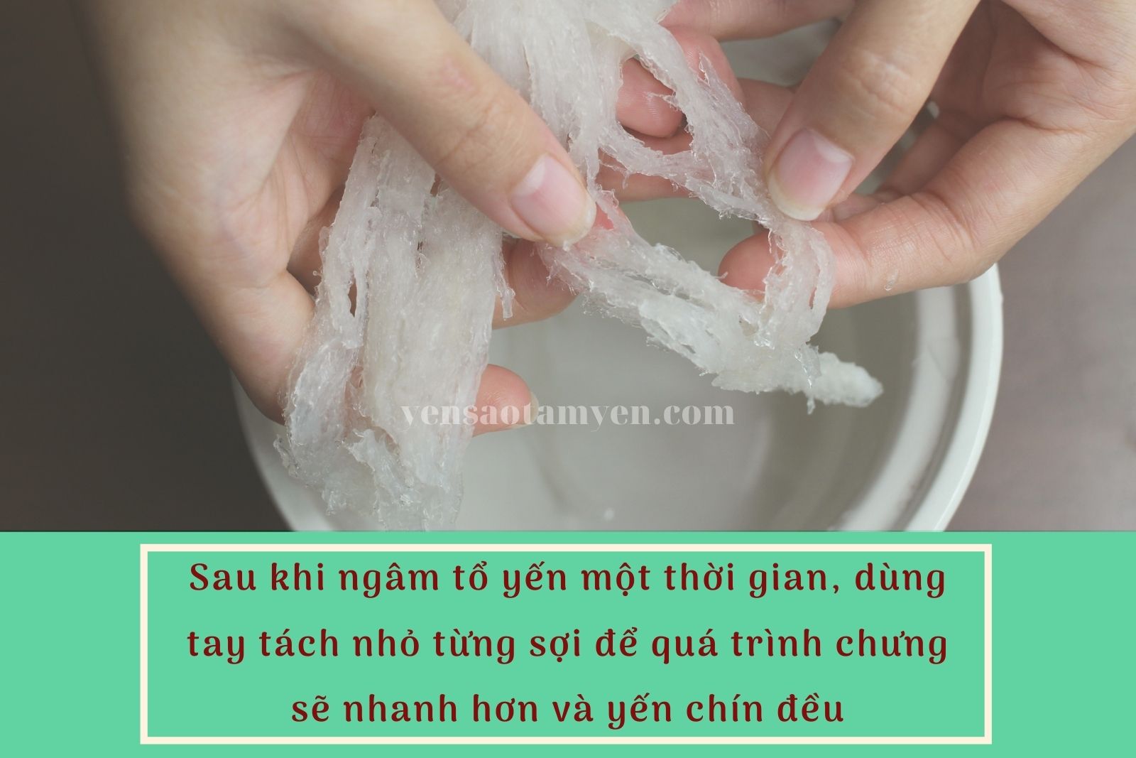 cách chưng yến ngon 