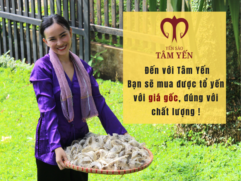 tổ yến cho bé 1 tuổi 04