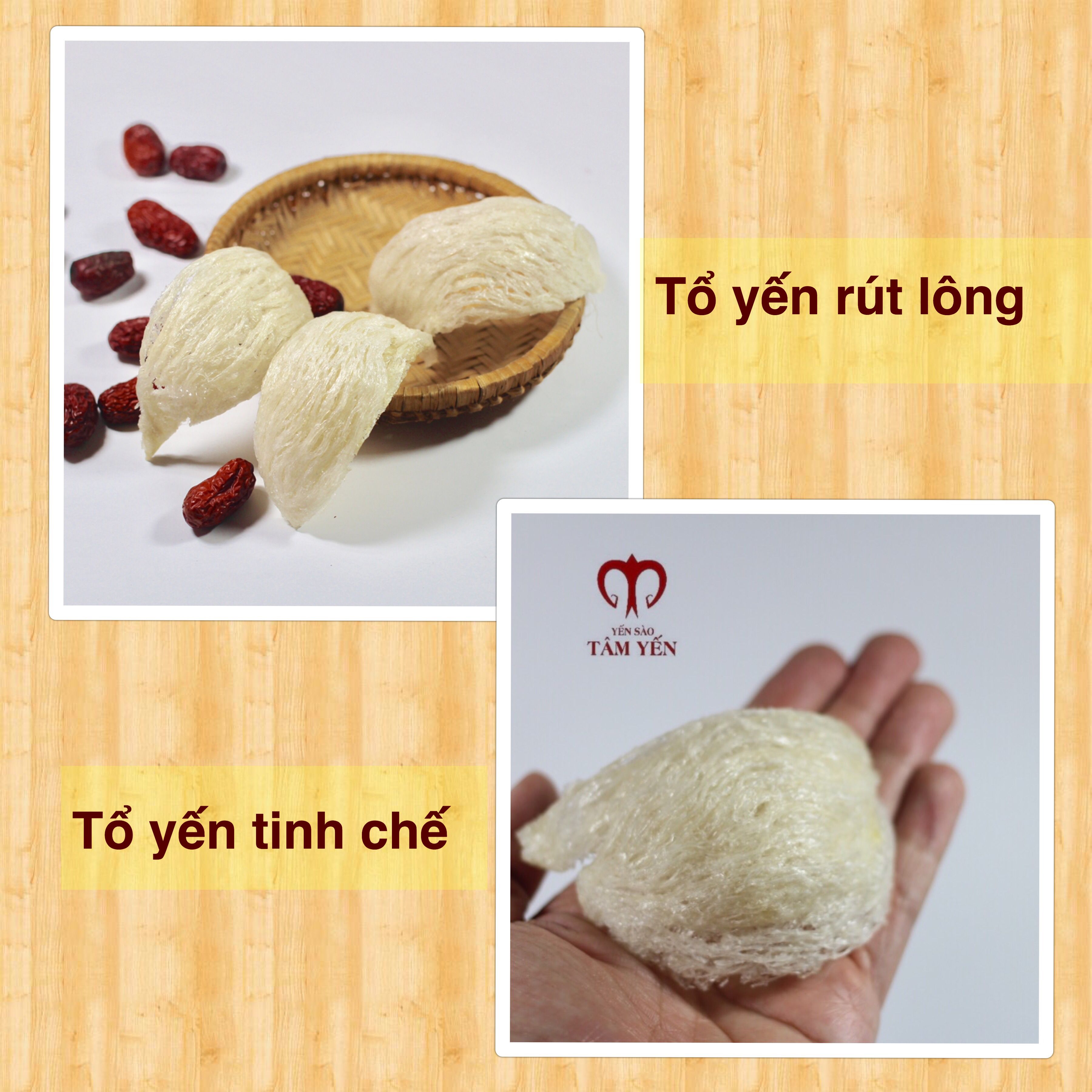 yến tinh chế và yến rút lông 01