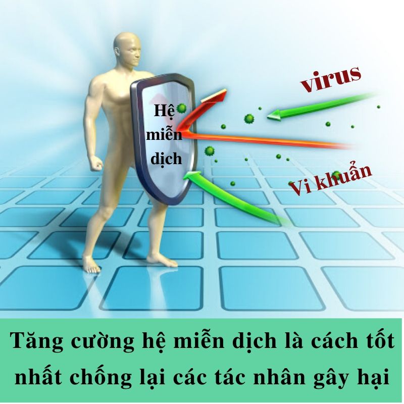 virus corona và cách tăng cường hệ miễn dịch tốt nhất