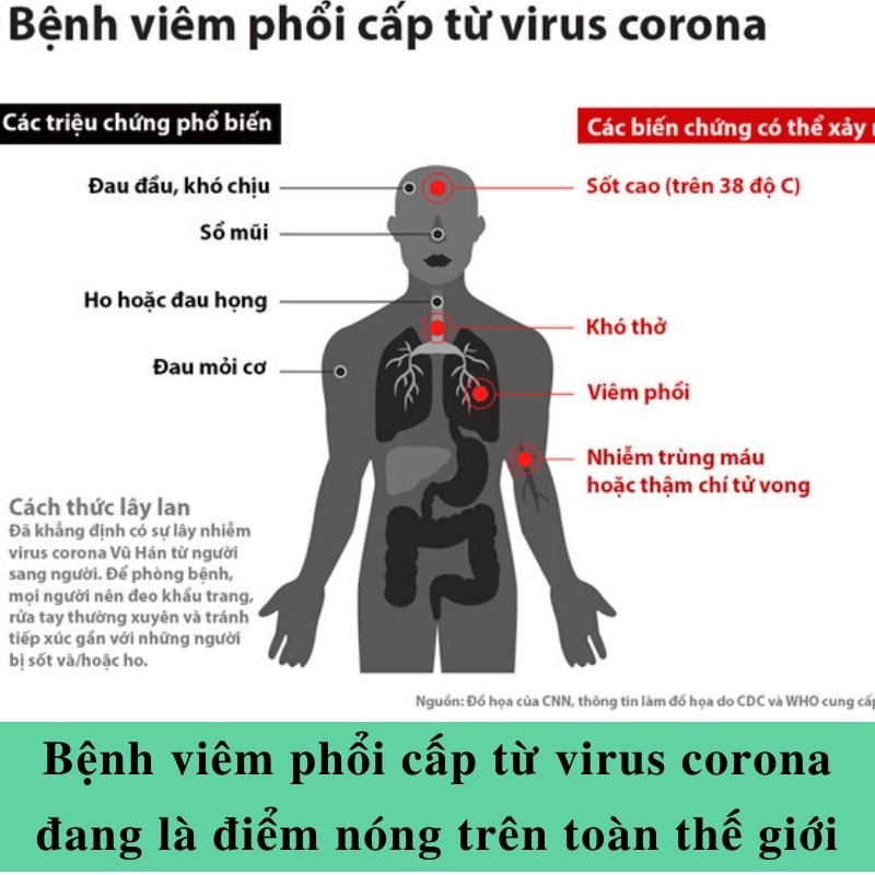 virus corona và cách tăng cường hệ miễn dịch cho cơ thể