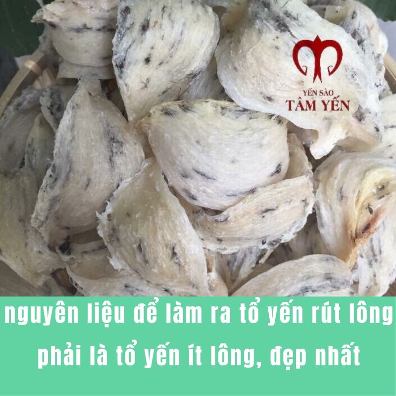 tổ yến rút lông vip 01